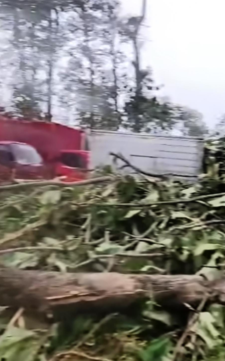 Badai Cuaca Ekstrem Hantam Batang, Sejumlah Wilayah Rusak dan Korban Jiwa Muncul
